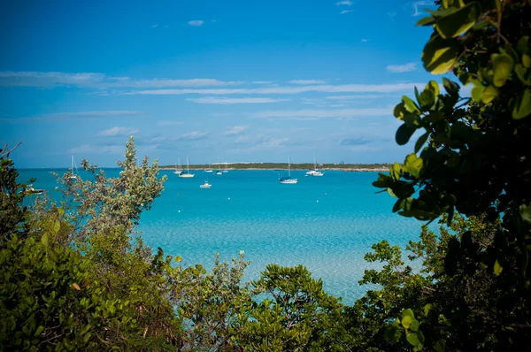 Boats in the Harbour — Stock Photo, Image