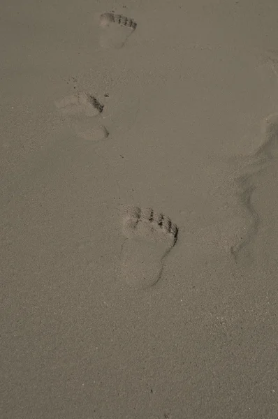 Empreintes de pas dans le sable — Photo