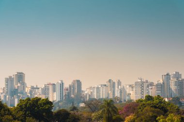 Sao Paulo Binası Skyline Park Manzarası