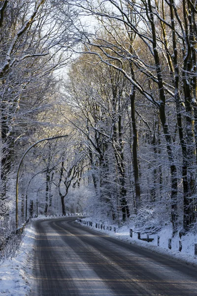 Estrada coberta de neve na floresta — Fotografia de Stock