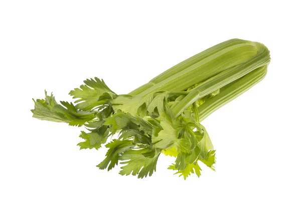 Celery on white background — Stock Photo, Image