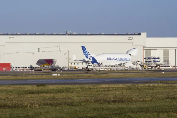 Asiana Tail and Beluga Transporter — Stock Photo, Image