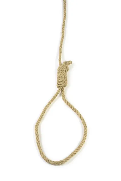 Noose en blanco — Foto de Stock