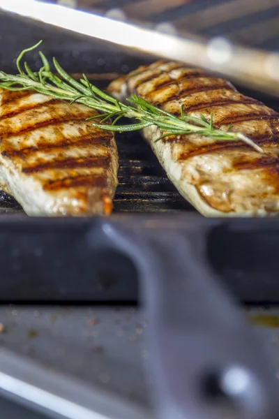 Chicken Breast with rosemary in pan — Stock Photo, Image