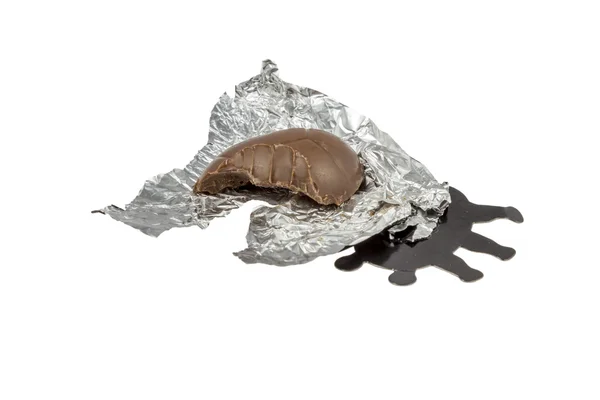 巧克力瓢虫 — 图库照片