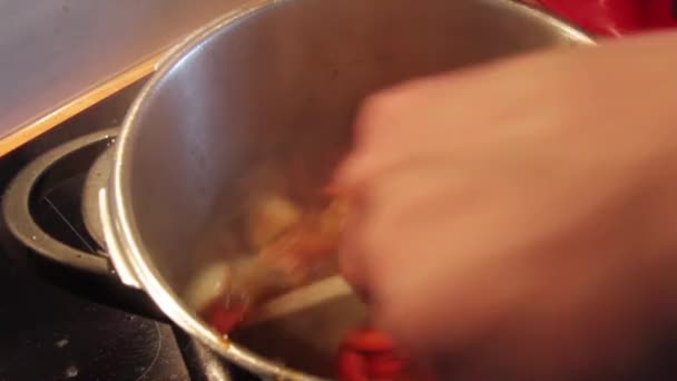 Агитация филе свинины, лук и красный перец — стоковое видео