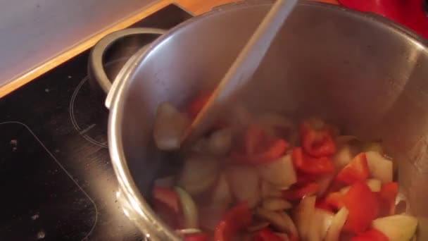 鼓动洋葱和红辣椒 — 图库视频影像