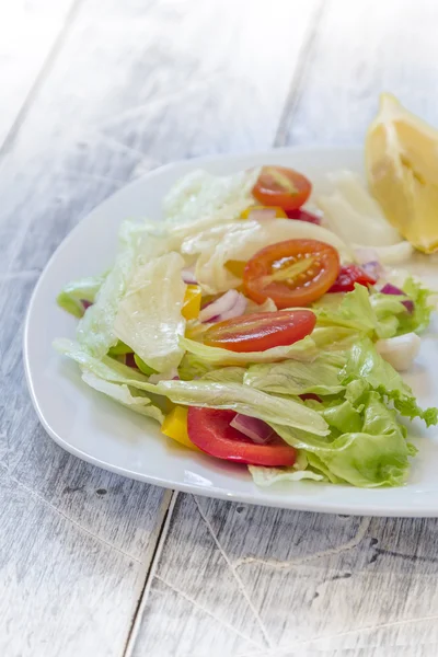 Grüner Salat auf einem Teller — Stockfoto
