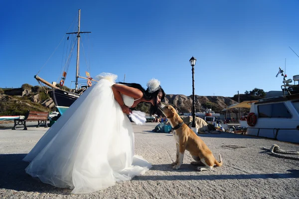 Noiva beijando um cão — Fotografia de Stock