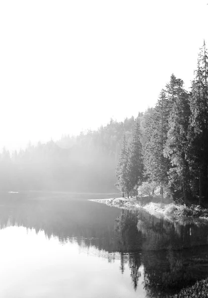 Mattinata nebbiosa sul lago Sinevir Foto Stock