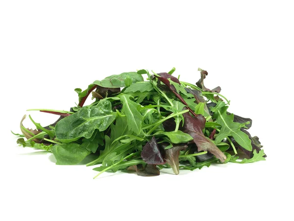 Mixed baby green salad — Stock Photo, Image