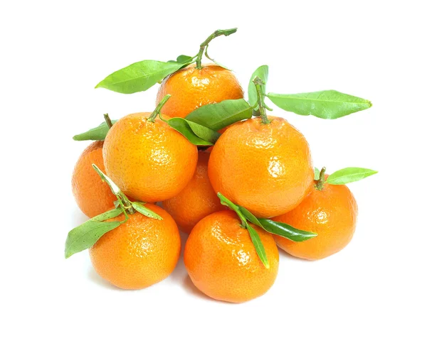 taze mandalina