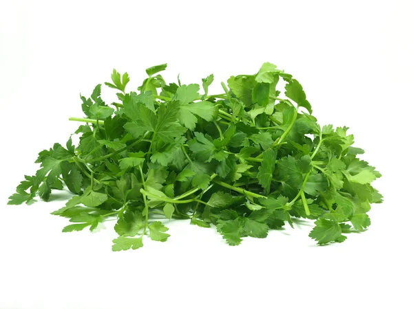 Fresh Italian parsley — Stock Photo, Image