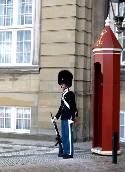 Королевская гвардия Дании — стоковое фото