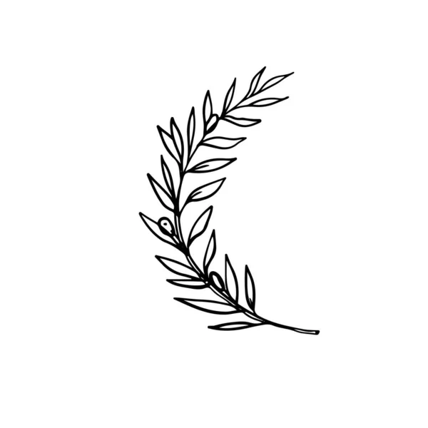 One Line Drawing Ancient Greek Olive Wreath — Stock Vector