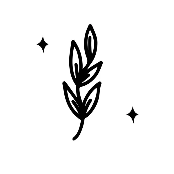 Line Doodle Black Magic Branch Isolated — Vetor de Stock