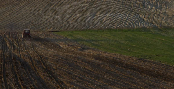 Tractor on a field — Stock Photo, Image