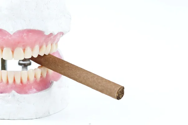 Wax denture with cigarette — Stock Photo, Image