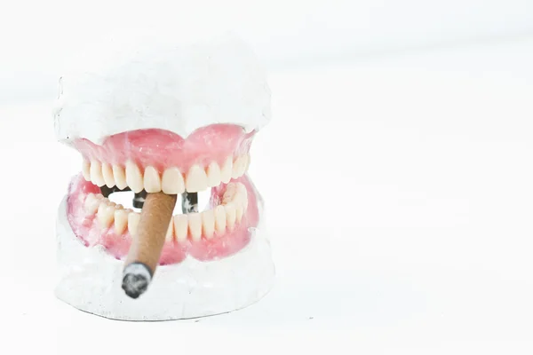 蜡义齿与香烟 — 图库照片