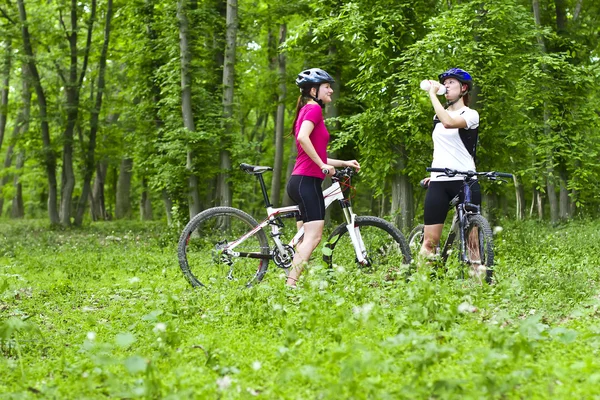 Девушки катаются на велосипеде в лесу — стоковое фото