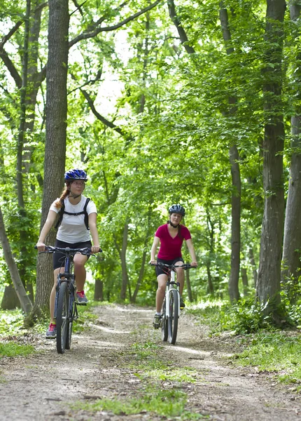 Flickor cykling i skogen — Stockfoto