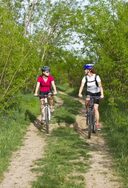 Девушки катаются на велосипеде в лесу — стоковое фото
