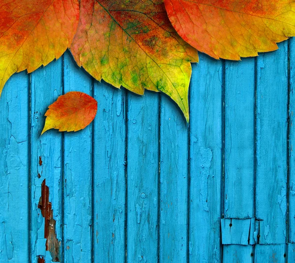 Autumn leaves on a wooden fence — Stock Photo, Image