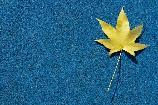 Yellow leaf — Stock Photo, Image