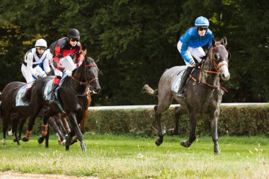 WROCLAW, POLAND - 16 Ekim 2021: WTWK Racecourse Partynice 'de üç yaşındaki atlar ve daha yaşlı atlar için çitlerle yarış. P. Slozil 'i Kontrargument' a yönlendirir..