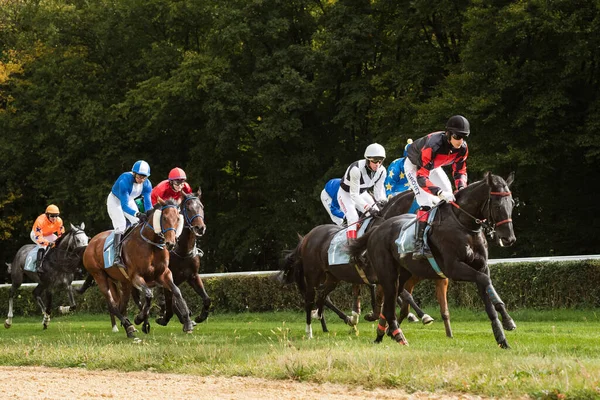 Wroclaw Polonia Octubre 2021 Carrera Con Vallas Para Caballos Tres — Foto de Stock