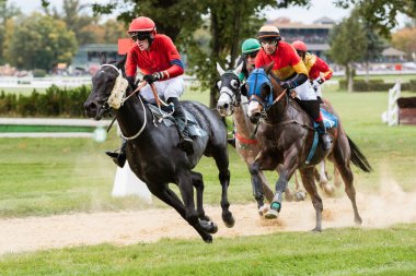 WROCLAW, POLAND - 16 Ekim 2021: Racecourse WTWK Partynice 'de engelli koşu yarışı. Jokey AP Slozil 'in Savaş Bakanını Önderliğinde.