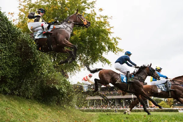 Wroclaw Poland October 2021 Steeplechase Race Crystal Cup Five Years — Stock Photo, Image