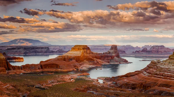 Uitzicht vanaf alstrom punt op gunsight butte en lake powell, arizona — Stockfoto