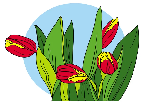 Bunte Tulpen — Stockvektor