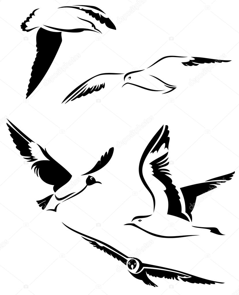 Vector seagulls