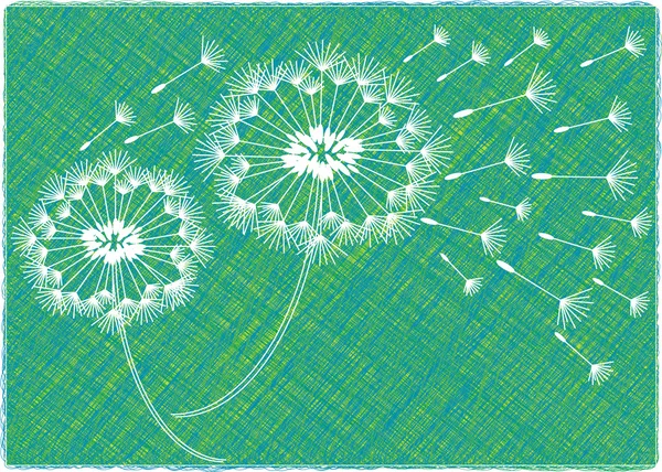 Croquis vectoriel de fleurs de pissenlit — Image vectorielle