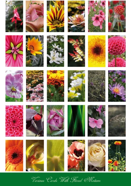 Set von floralen Karten — Stockfoto
