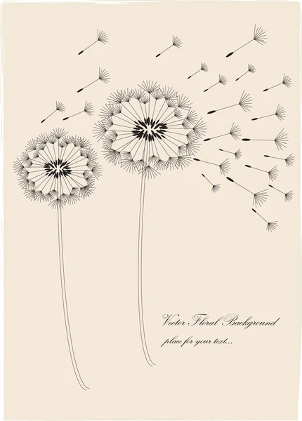 Vintage card layout with two dandelions — Stock Vector
