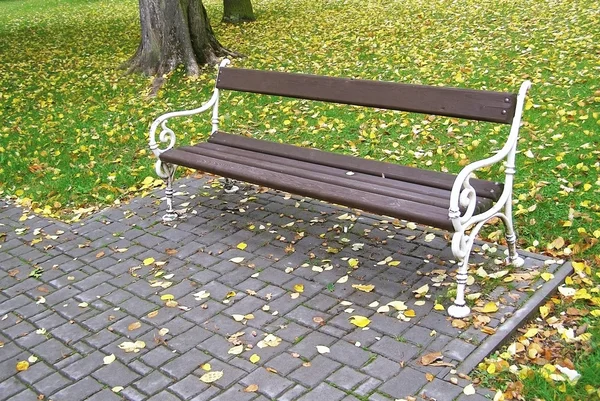 Old vintage bench — Stock Photo, Image