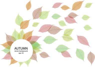 yaratıcı vektör tasarımı ile sonbahar yaprakları ve metin için yer