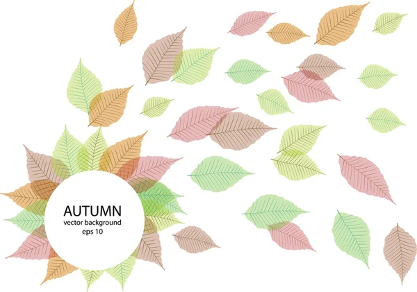 Design vectoriel créatif avec feuilles d'automne et place pour le texte — Image vectorielle