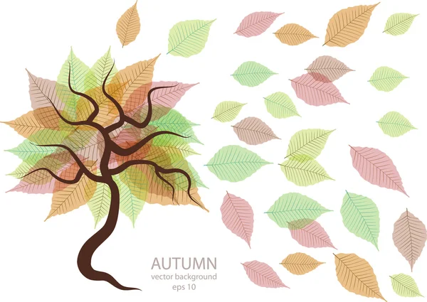 Design vectoriel créatif avec feuilles d'automne et place pour le texte — Image vectorielle