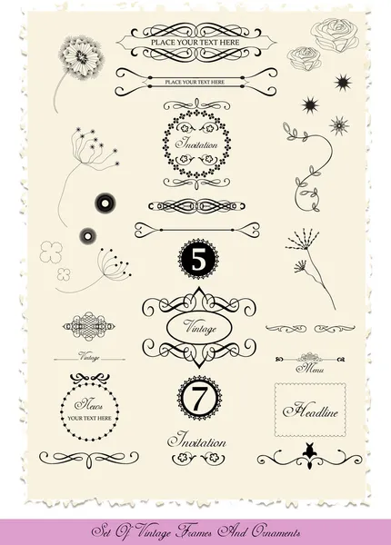 Set kalligrafische vintage elementen — Stockvector