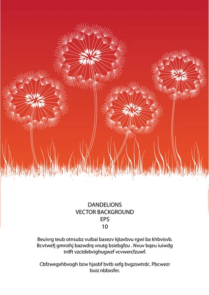 Karahindiba çiçekli vintage tarzı romantik vektör çizim — Stok Vektör