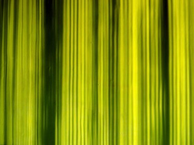 Gölge ve ışık ile arka plan