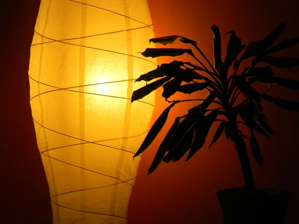 lighting paper lamp