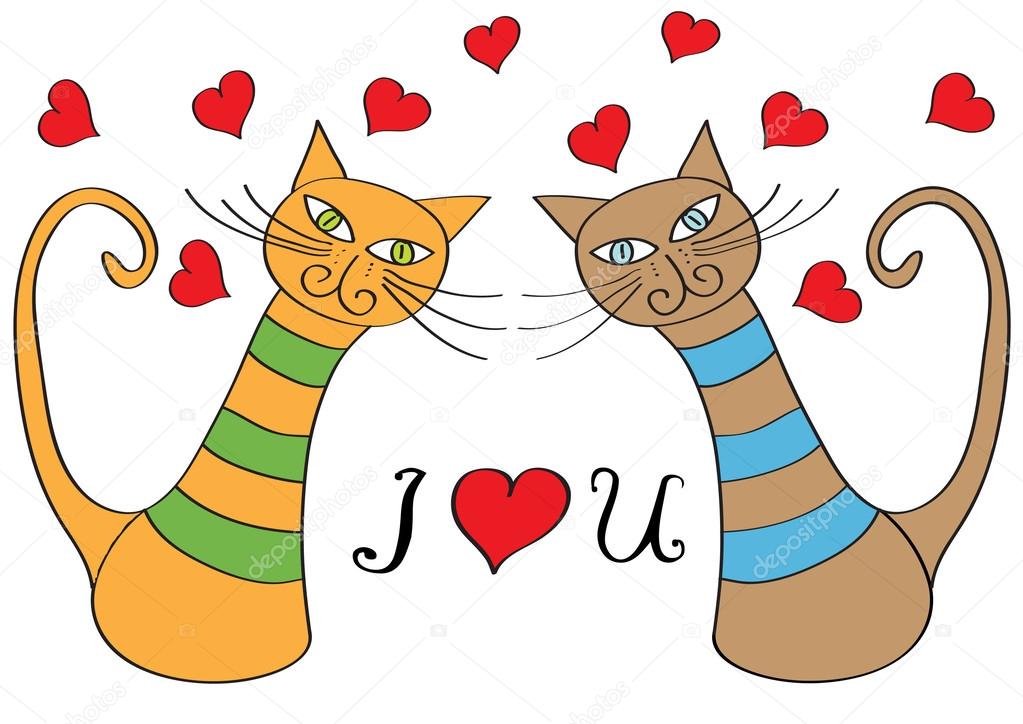Pair of cats in love