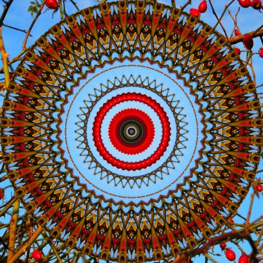 soyut mandala arka plan