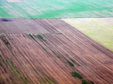 alanlar ve çayırlar