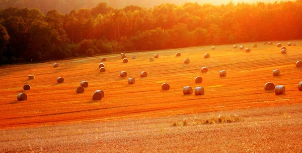 Beautiful landscape with straw bales in sunset — Stock Photo, Image
